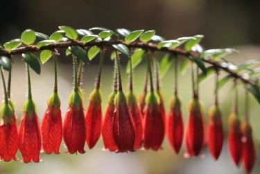 深圳南山区私人快速借钱网，轻松解决资金难题