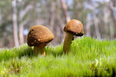 深圳南山区私人老板放款：轻松融资的秘密通道